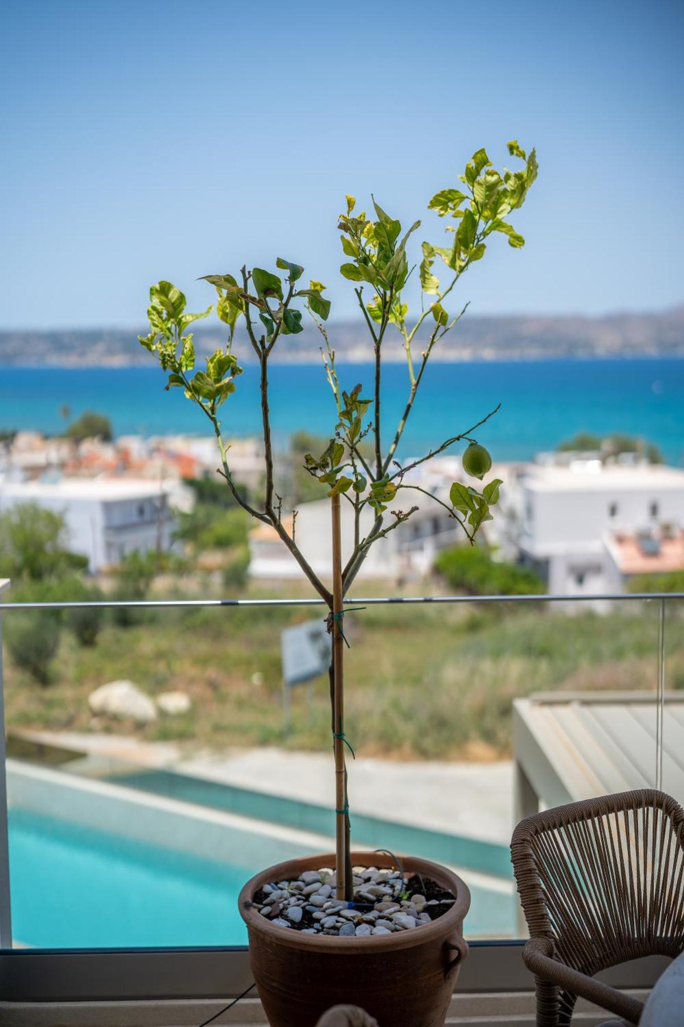 Amphimatrion Luxury *
